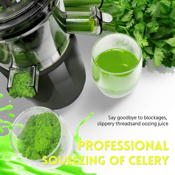 Effortless Cold Press Juicer
